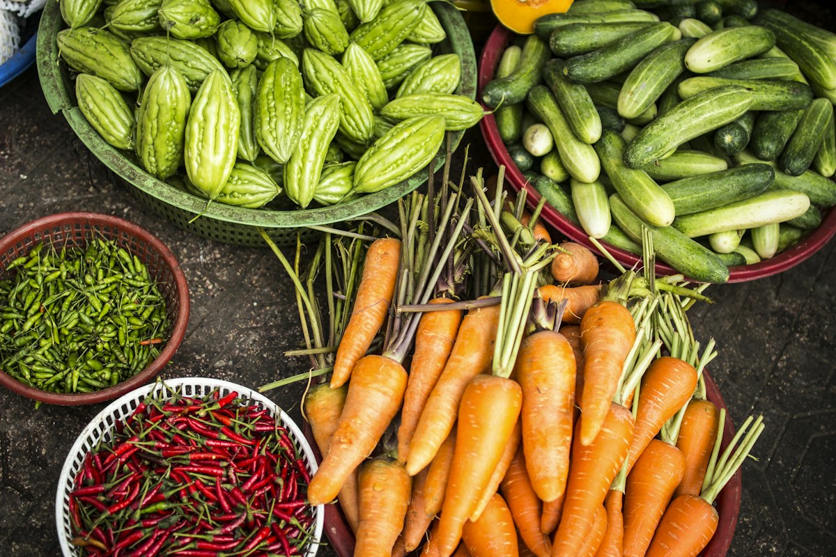 Paisagem de produção agrícola brasileira