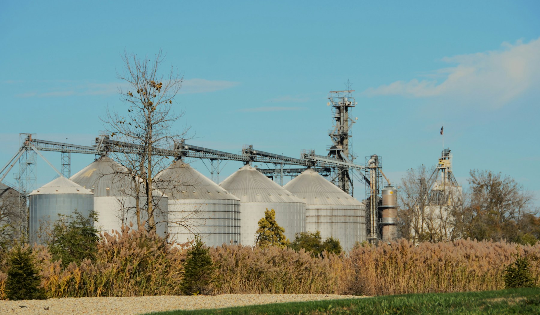 Grandes silos de grãos em uma instalação de commodities agrícolas